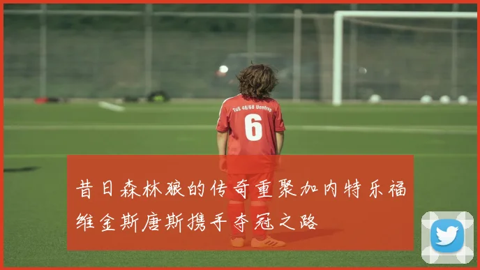昔日森林狼的传奇重聚加内特乐福维金斯唐斯携手夺冠之路